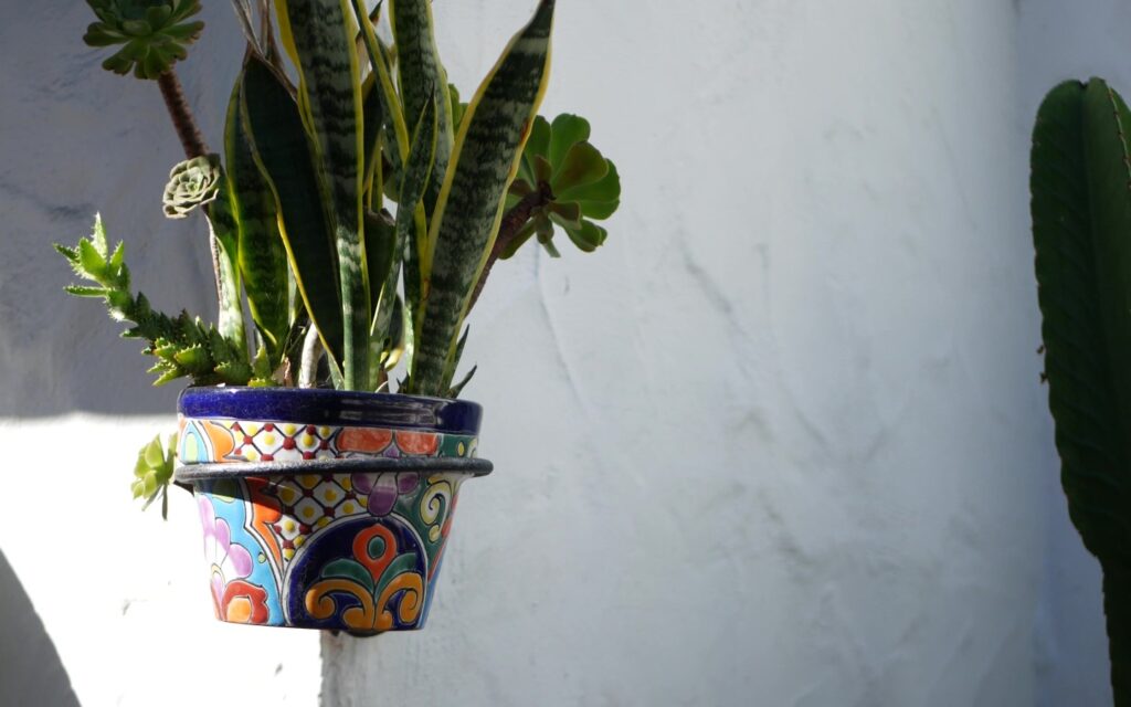 Flower Pots Mini